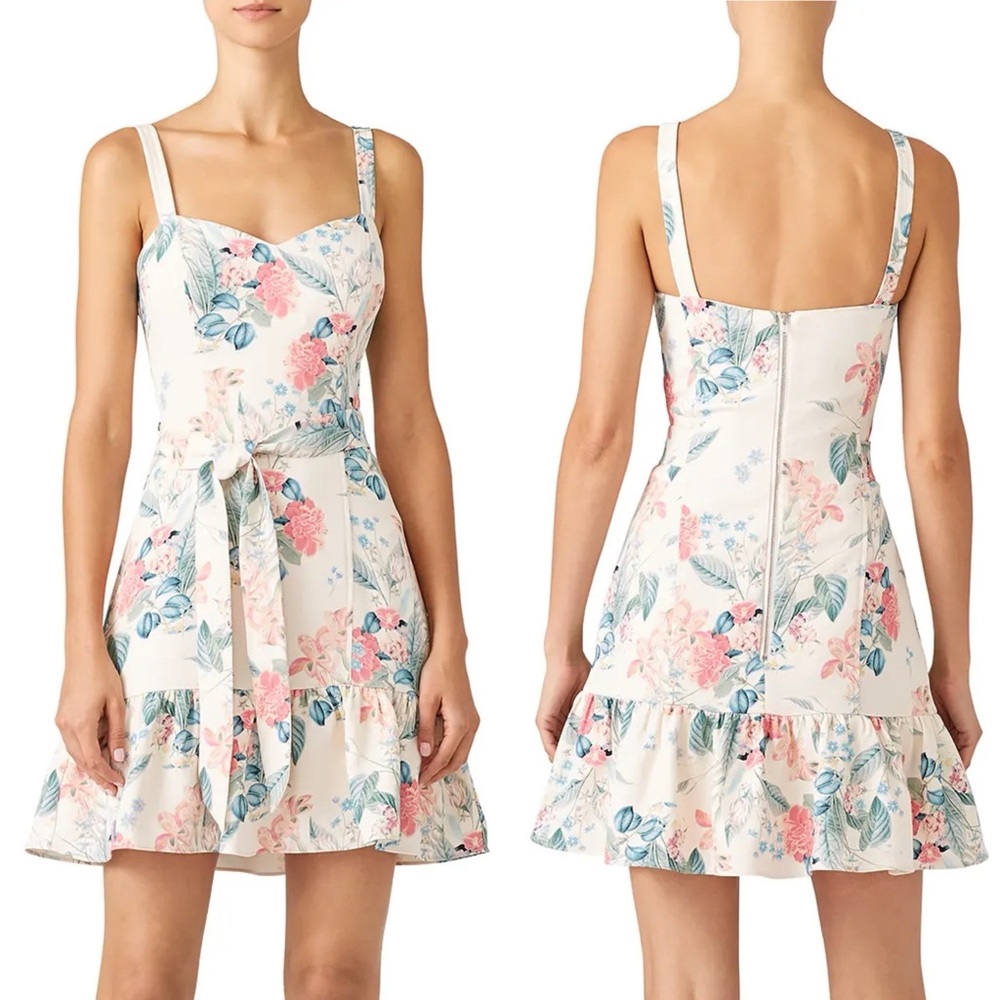 PARKER Yuna Floral Mellow Meadow Ruffle Mini Sun Dress \\ 6